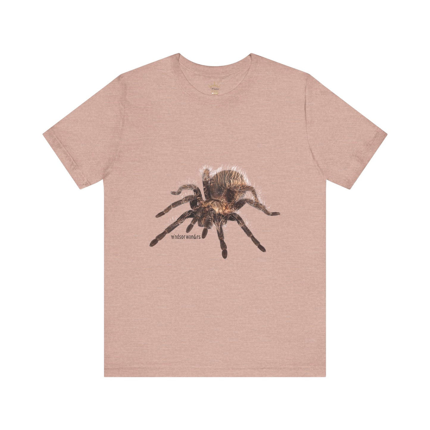 T-Shirt featuring a Realistic Tarantula Design, Funny Spider Lover Tee, Gift for Entomologists, Halloween Costume Shirt, Nature Fan [...]