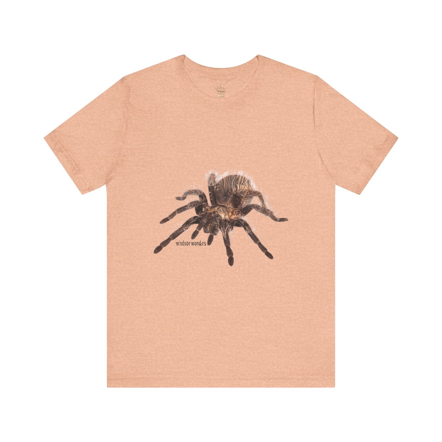 T-Shirt featuring a Realistic Tarantula Design, Funny Spider Lover Tee, Gift for Entomologists, Halloween Costume Shirt, Nature Fan [...]