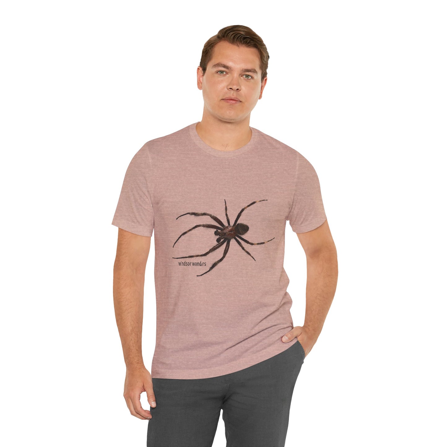 Weaver Spider Tee - Unisex Jersey Short Sleeve Tee, Halloween Shirt, Graphic Tee for Nature Lovers, Gift for Arachnophobes, Casual Wear