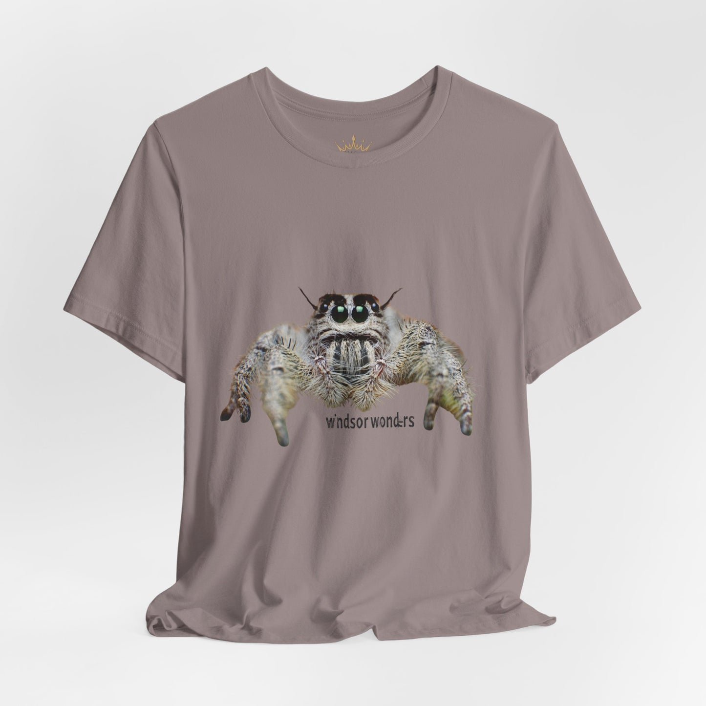 Windsor Wonders Spooder-Inspired Unisex Tee, Cute Cat Shirt, Animal Lover Gift, Fun Graphic Tees, Unique Casual Wear