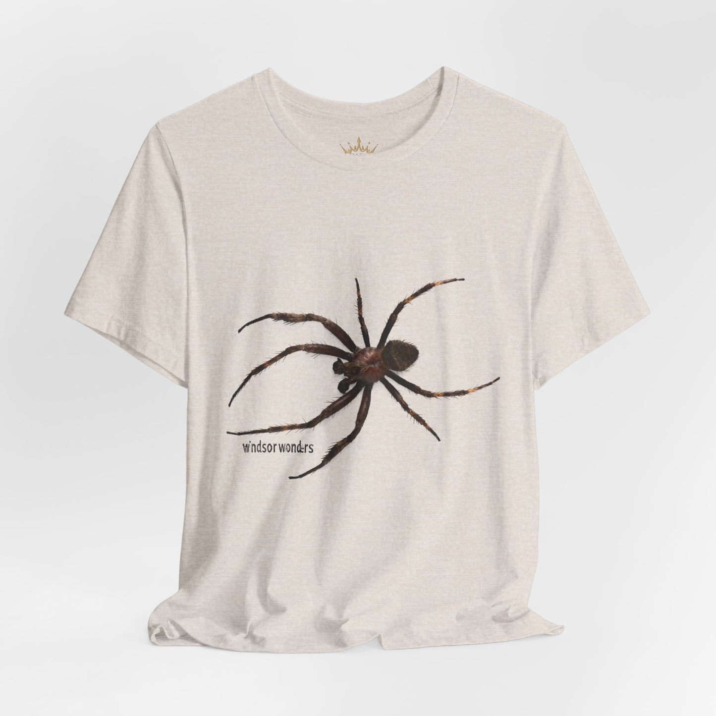 Weaver Spider Tee - Unisex Jersey Short Sleeve Tee, Halloween Shirt, Graphic Tee for Nature Lovers, Gift for Arachnophobes, Casual Wear