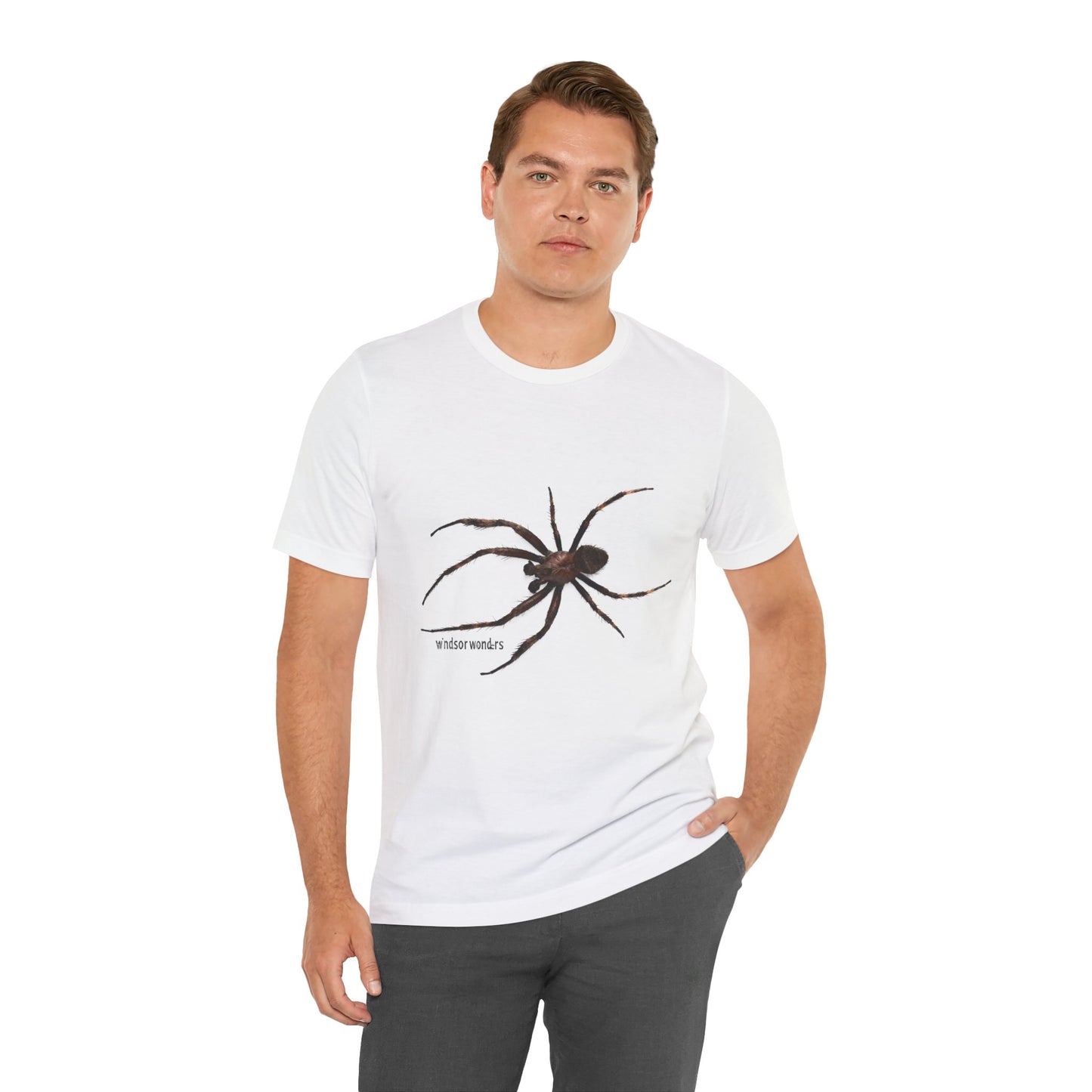 Weaver Spider Tee - Unisex Jersey Short Sleeve Tee, Halloween Shirt, Graphic Tee for Nature Lovers, Gift for Arachnophobes, Casual Wear
