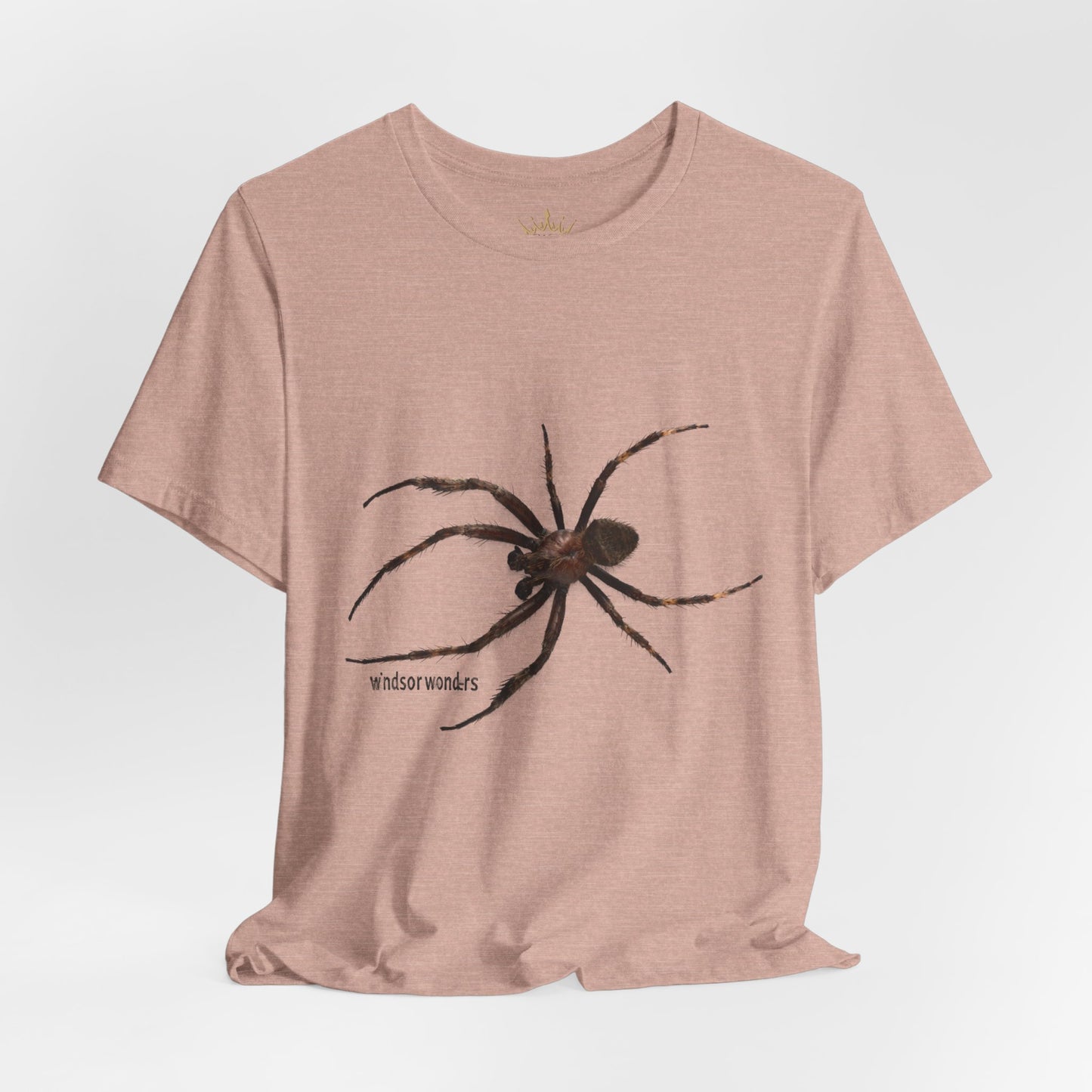 Weaver Spider Tee - Unisex Jersey Short Sleeve Tee, Halloween Shirt, Graphic Tee for Nature Lovers, Gift for Arachnophobes, Casual Wear