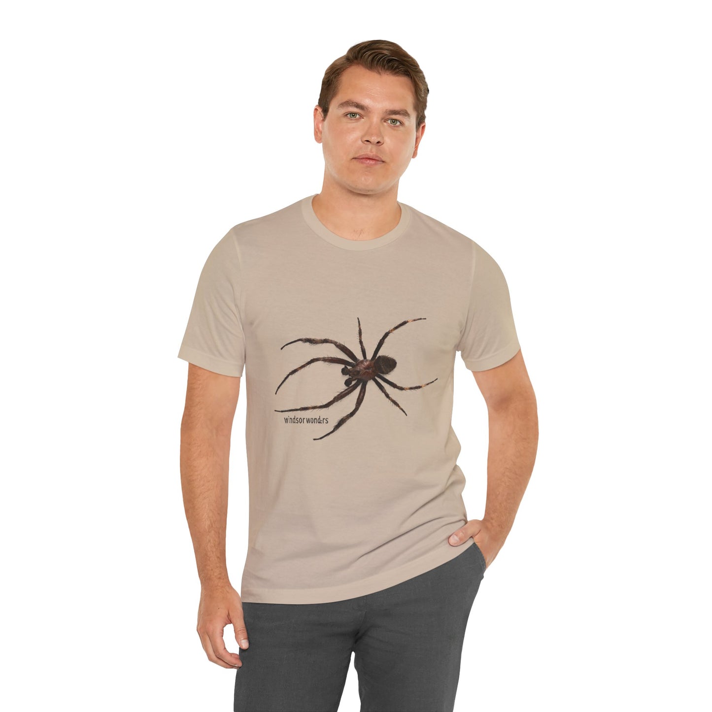 Weaver Spider Tee - Unisex Jersey Short Sleeve Tee, Halloween Shirt, Graphic Tee for Nature Lovers, Gift for Arachnophobes, Casual Wear
