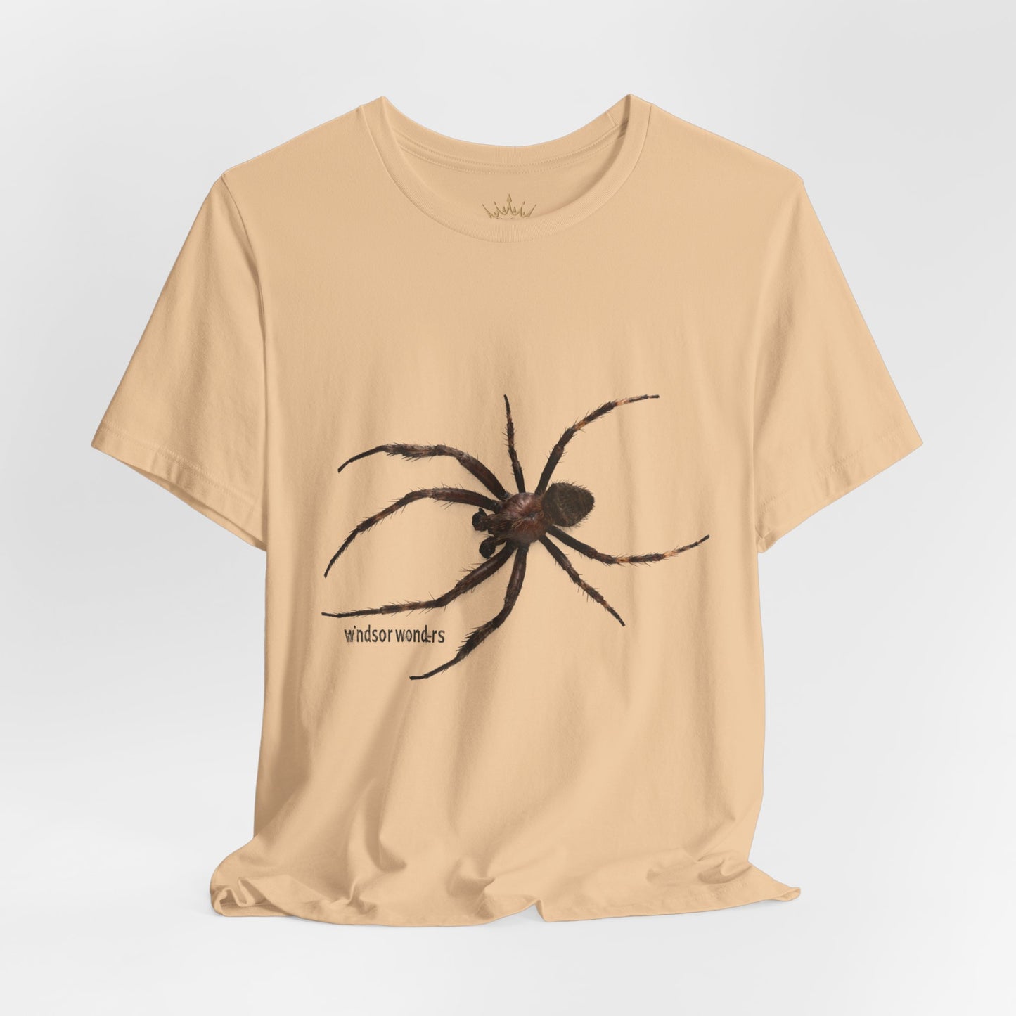 Weaver Spider Tee - Unisex Jersey Short Sleeve Tee, Halloween Shirt, Graphic Tee for Nature Lovers, Gift for Arachnophobes, Casual Wear