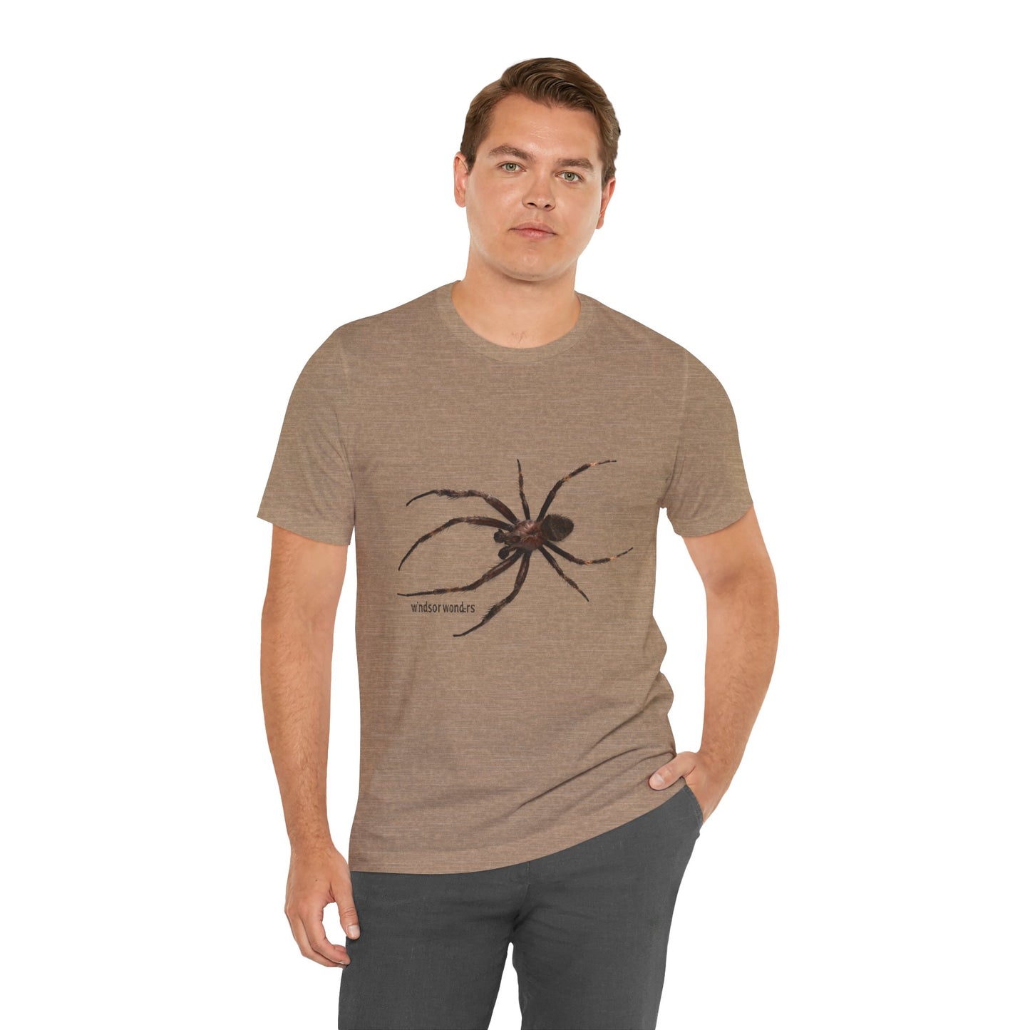 Weaver Spider Tee - Unisex Jersey Short Sleeve Tee, Halloween Shirt, Graphic Tee for Nature Lovers, Gift for Arachnophobes, Casual Wear