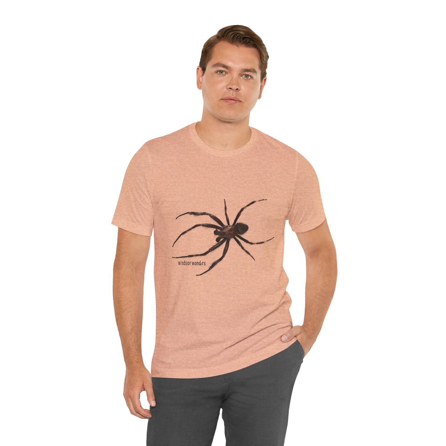 Weaver Spider Tee - Unisex Jersey Short Sleeve Tee, Halloween Shirt, Graphic Tee for Nature Lovers, Gift for Arachnophobes, Casual Wear