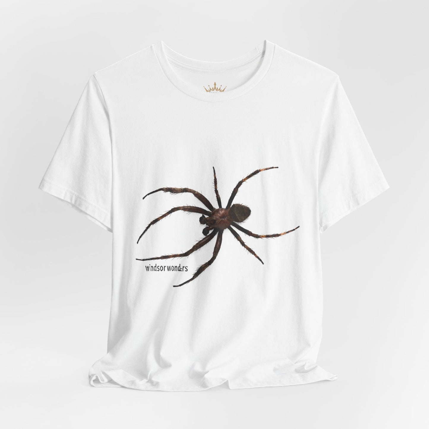 Weaver Spider Tee - Unisex Jersey Short Sleeve Tee, Halloween Shirt, Graphic Tee for Nature Lovers, Gift for Arachnophobes, Casual Wear
