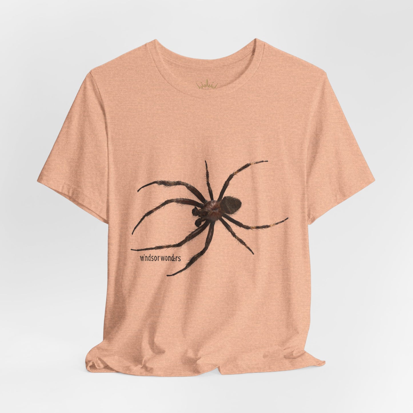 Weaver Spider Tee - Unisex Jersey Short Sleeve Tee, Halloween Shirt, Graphic Tee for Nature Lovers, Gift for Arachnophobes, Casual Wear