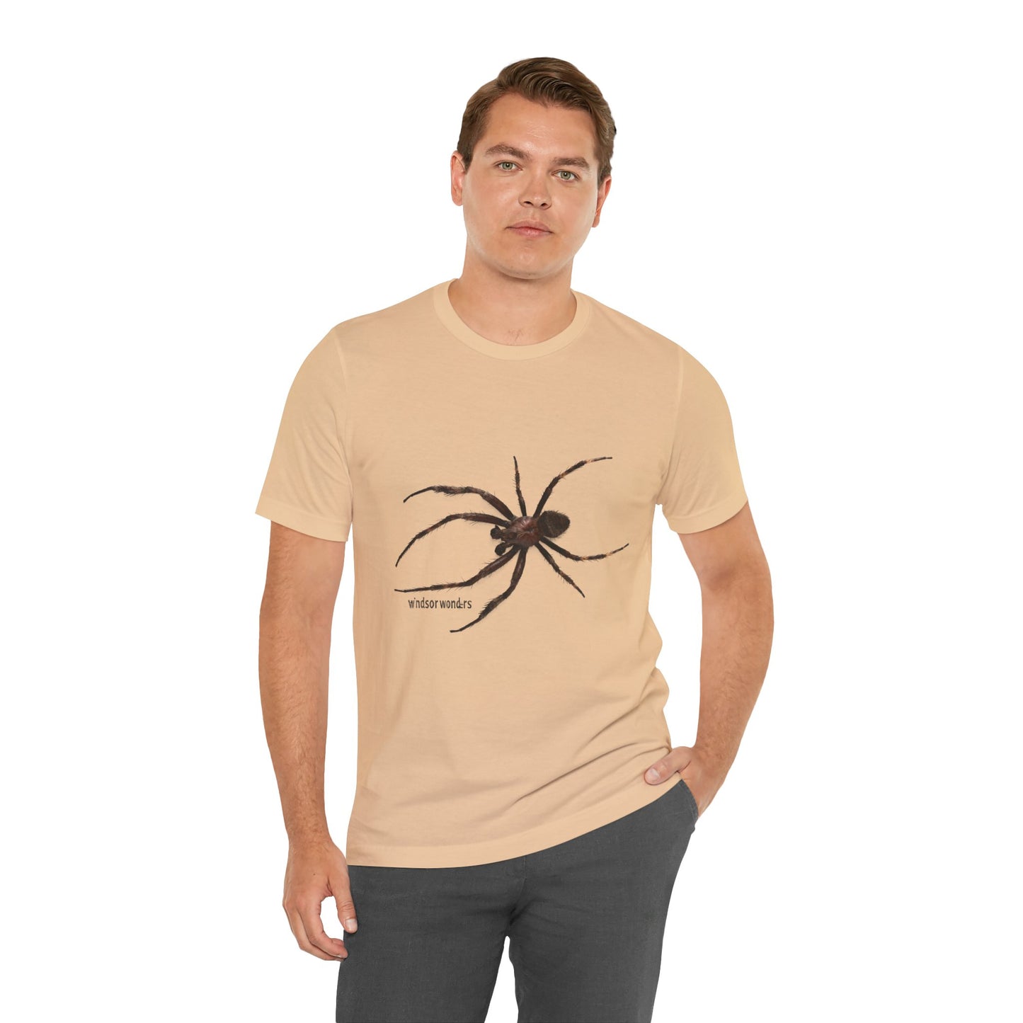 Weaver Spider Tee - Unisex Jersey Short Sleeve Tee, Halloween Shirt, Graphic Tee for Nature Lovers, Gift for Arachnophobes, Casual Wear